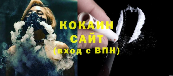 прущие крисы Пересвет