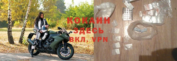 прущие крисы Пересвет