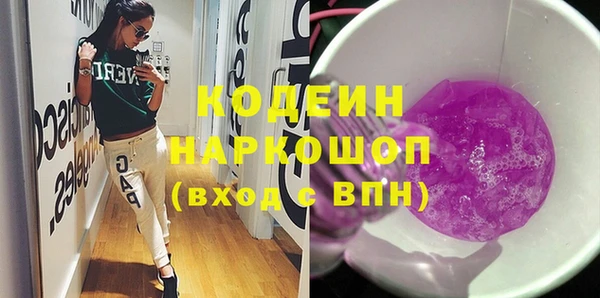 сатива Инта