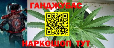 шишки Кинель