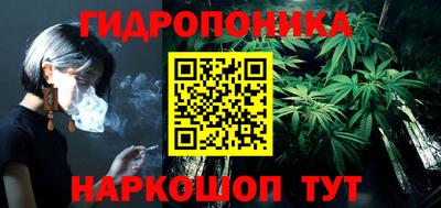 шишки Кинель