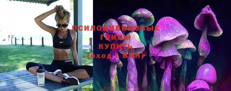 Галлюциногенные грибы Psilocybine cubensis  ссылка на мегу как войти  Серов  закладка 