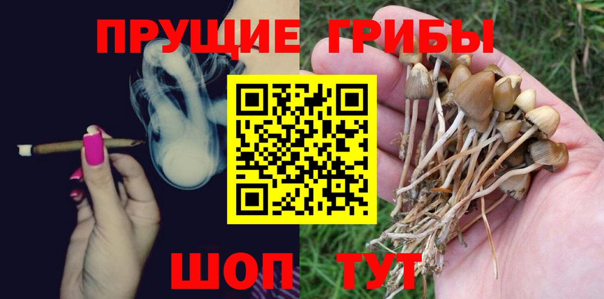 Галлюциногенные грибы Psilocybe Серов