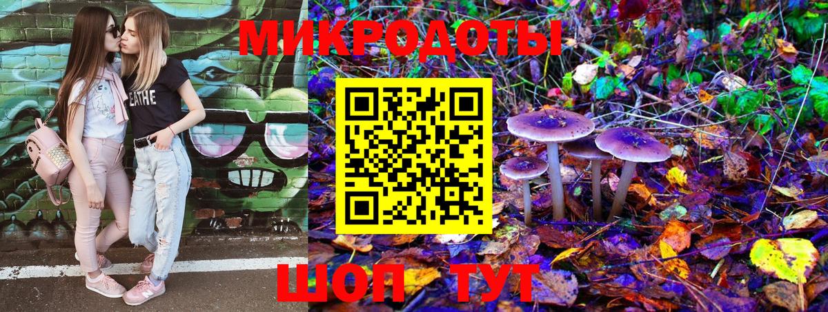 Галлюциногенные грибы Psilocybine cubensis  магазин  наркотиков  Серов  Галлюциногенные грибы MAGIC MUSHROOMS 