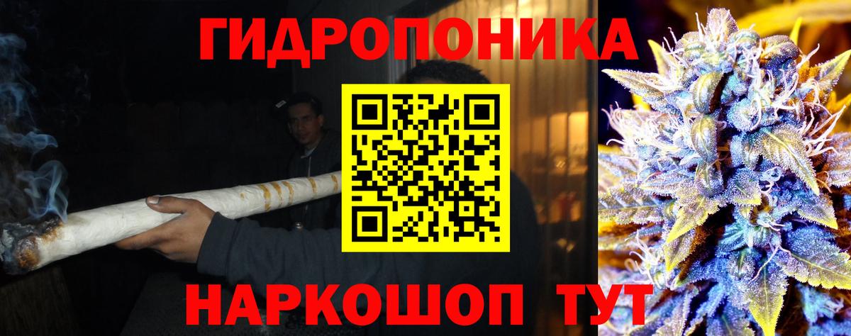 Бошки марихуана планчик  Серов  Бошки Шишки ГИДРОПОН  Бошки марихуана OG Kush  Конопля Bruce Banner 